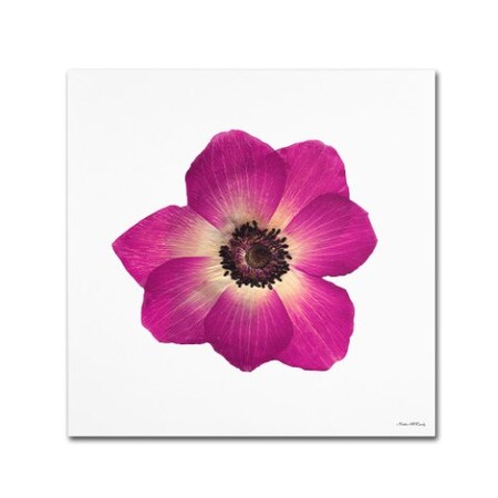 Kathie McCurdy 'Hot Pink Flower' Canvas Art,14x14